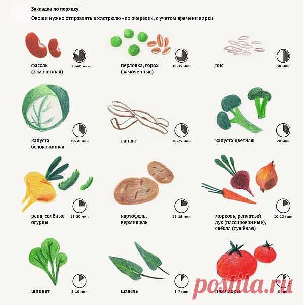 В каком порядке необходимо класть продукты в суп | Хитрости жизни