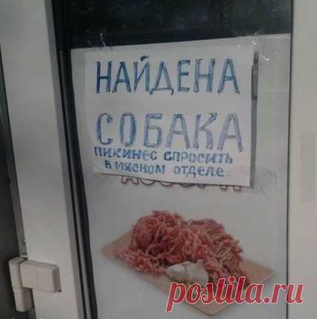 Отборные  и видео приколы.
Виталий Лавелин