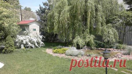 Наши работы — Landscape.kz, ландшафтный дизайн в Алматы,садовник в Алматы, альпийские горки, водоемы в Алматы, пруды в Алматы, газоны в Алматы, водопады в Алматы, поливочная система в Алматы, ландшафтное проектирование в Алматы, сады на крыше в Алматы, новогоднее оформление в Алматы, хвойные лиственные крупномеры в Алматы.