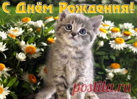 открытка