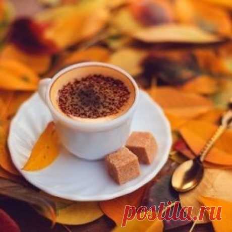 ОГРОМНОЕ ЗНАЧЕНИЕ ИМЕЕТ ОЧИЩЕНИЕ