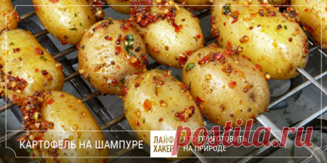Что приготовить на природе, кроме шашлыков - Лайфхакер