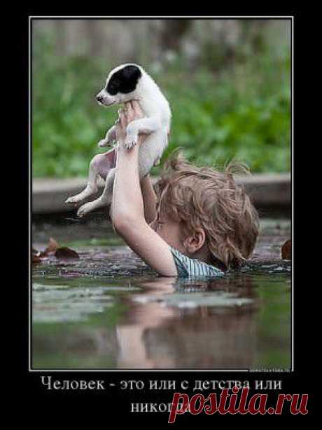 Трэш и угар... &quot;Марiя Путіна записалась добровольцем у Батальйон Донбас&quot;