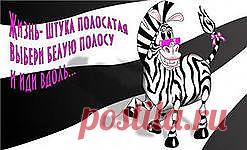 ПРОТИВ ЧЕРНОЙ ПОЛОСЫ.... | Познавательный сайт ,,1000 мелочей"