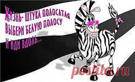 ПРОТИВ ЧЕРНОЙ ПОЛОСЫ.... | Познавательный сайт ,,1000 мелочей&quot;