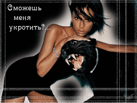 анимационные картинки дикие животные: 2 тыс изображений найдено в Яндекс.Картинках