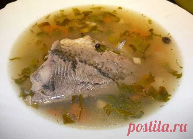 Рыбный суп с грибами