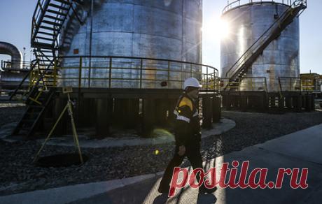 Новак заявил, что введение потолка цен на российскую нефть повлияет на компании. Как отметил вице-премьер, Россия может снизить добычу нефти на фоне неопределенности, однако это снижение не будет сильным