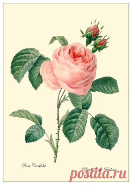 Найдено на сайте etsy.com.