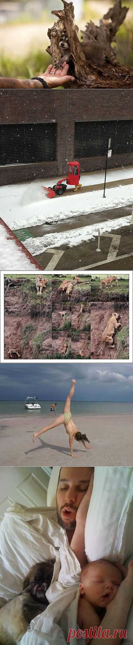 Редкие кадры.