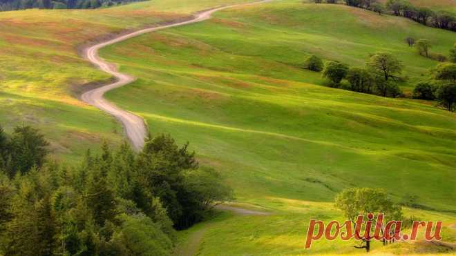 Широкоформатные обои Дорога, кусты, луг для рабочего стола 43120