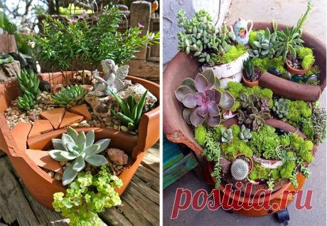 Новый тренд: садовые миниатюры в разбитых цветочных горшках