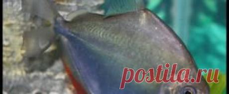 Мирный - Part 3