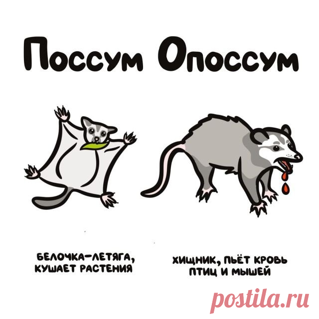 Не перепутай - 14 картинок - Нет скуки.ру. Юмор, приколы, смешные картинки и разные интересности..