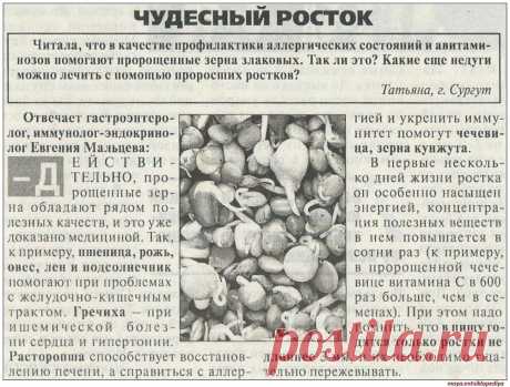 Чудесные ростки