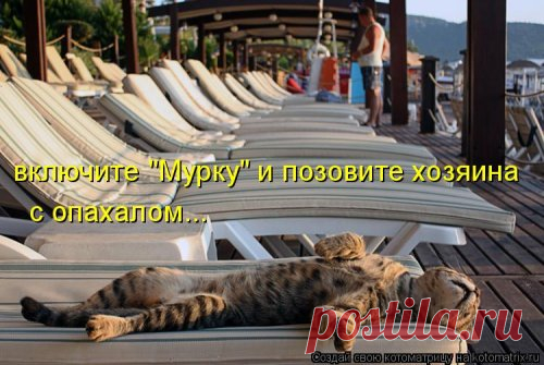 Новая смешная котоматрица