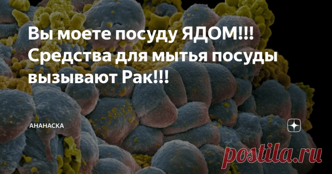 Вы моете посуду ЯДОМ!!! Средства для мытья посуды вызывают Рак!!! Статья автора «Вольтана » в Дзене ✍: