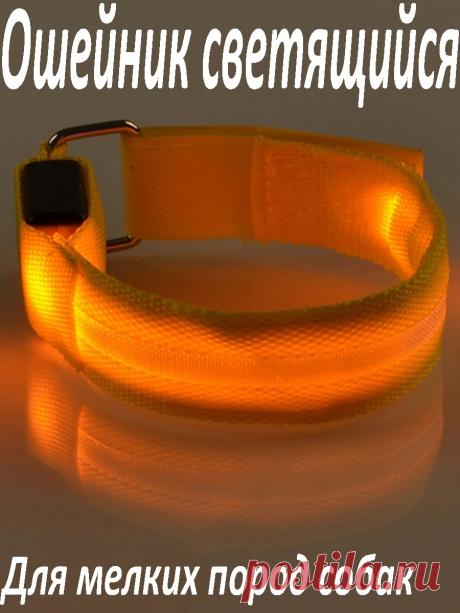 Ошейник / Ошейник для мелких пород собак /Ошейник светящийся / Длина 30 см Korenmarket 38450003 купить в интернет-магазине Wildberries