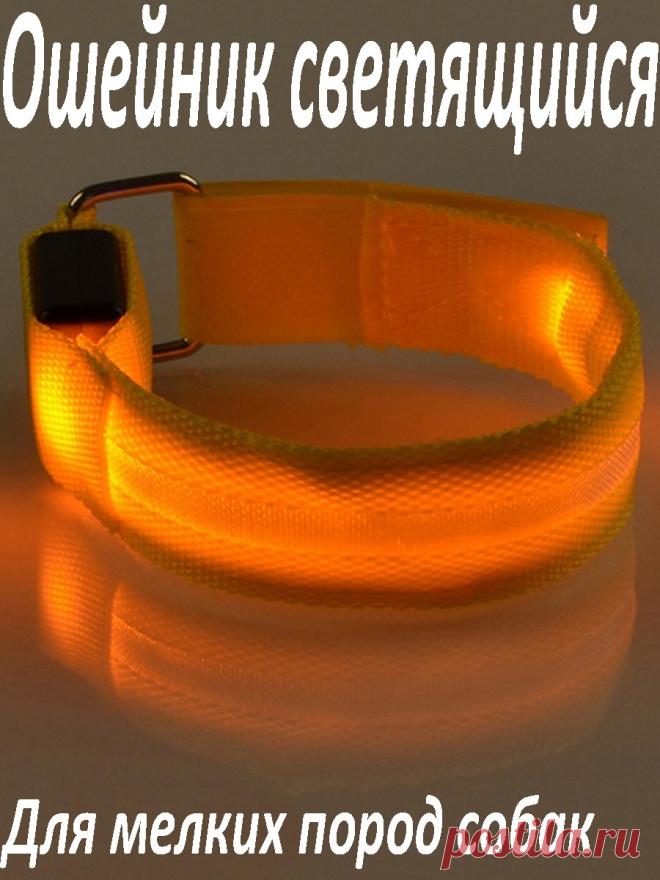 Ошейник / Ошейник для мелких пород собак /Ошейник светящийся / Длина 30 см Korenmarket 38450003 купить в интернет-магазине Wildberries