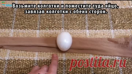 (44) Одноклассники