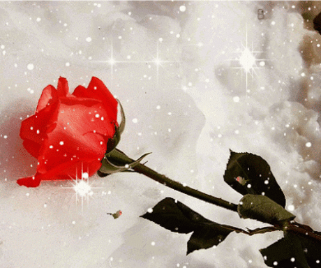 Татьяна Туриченко – Google+