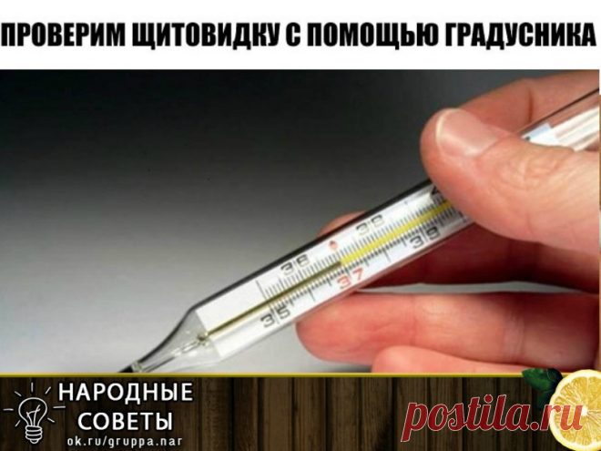 Чтобы проверить щитовидную железу, понадобится лишь обычный термометр! Чтобы проверить щитовидную железу, понадобится лишь обычный термометр!
Американский ученый и врач Брода Отто Барнс в ходе своих исследований в области эндокринологии обнаружил, что температура тела человека — превосходный показатель работы щитовидной железы.
Как проверить щитовидную железу
Итак, чтобы определить состояние щитовидной железы, достаточно иметь лишь обычный термометр.
1. С вечера приготовь ...