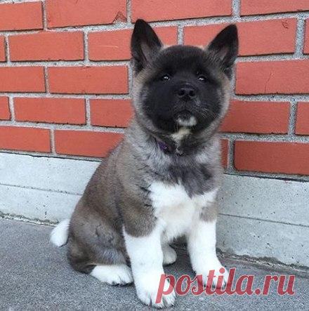 Интересные новости