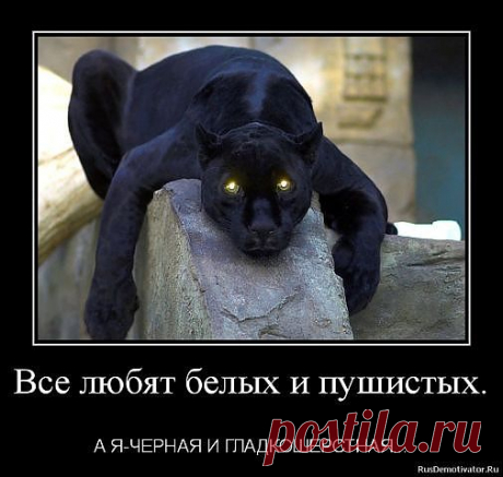 там всё написано