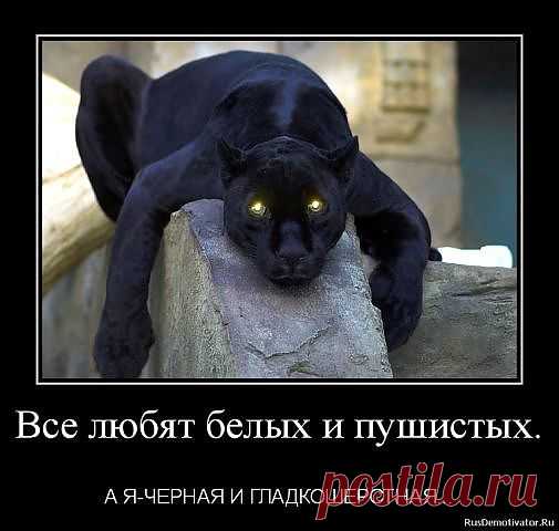 там всё написано