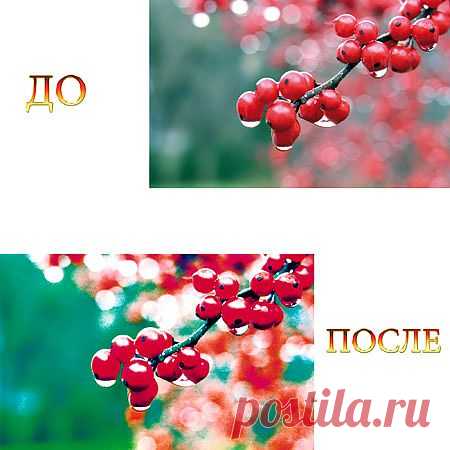 Скачать Экшен - Cross Processing