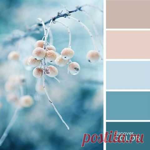 САМ СЕБЕ ДИЗАЙНЕР