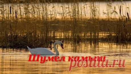 (45) Одноклассники