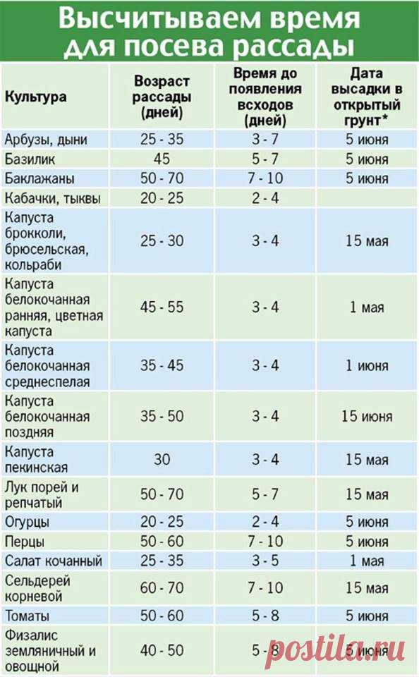 (17) Полезно знать - Публикации
