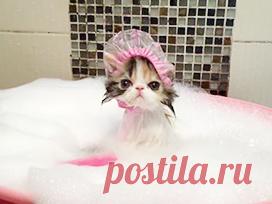 Рамблер - медийный портал