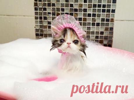 Рамблер - медийный портал