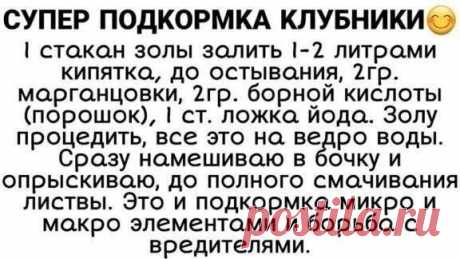 Пин содержит это изображение: