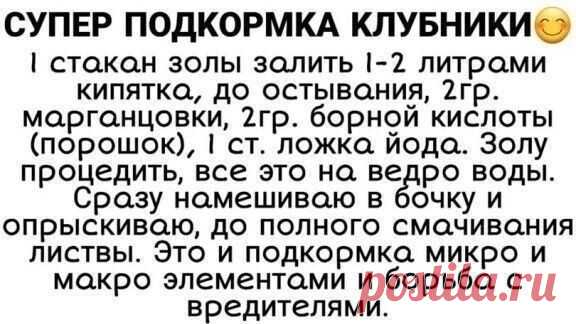 Пин содержит это изображение:
