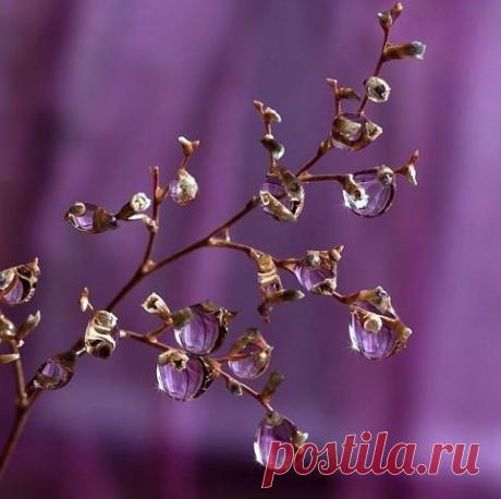 (99+) Одноклассники