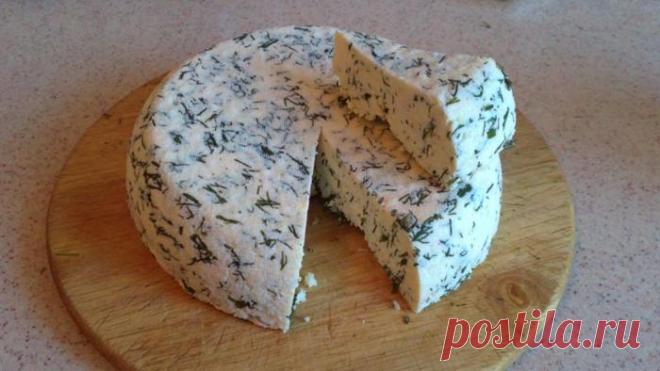 Мама взяла банку молока, добавила уксуса и получила вкуснейший домашний сыр Приятного аппетита!