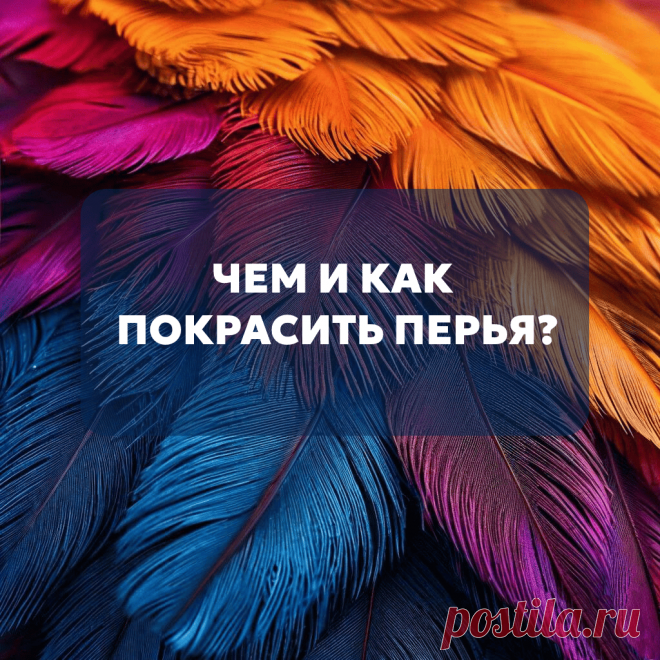 Чем и как покрасить перья в домашних условиях для ловца снов или любого другого творчества? Делюсь рабочими моментами