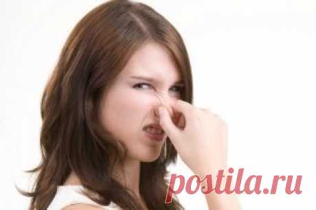 Почему возникает неприятный запах изо рта? | Ответы | Вопрос-Ответ | Аргументы и Факты