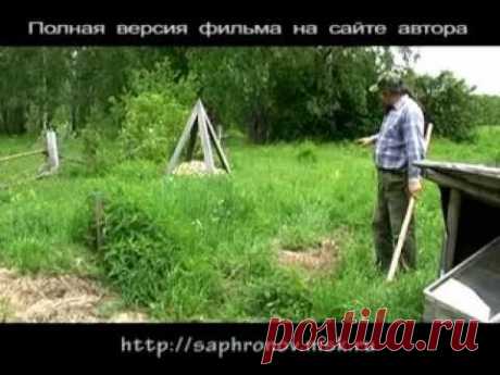 06  Огород в родовом поместье (перцы томаты)