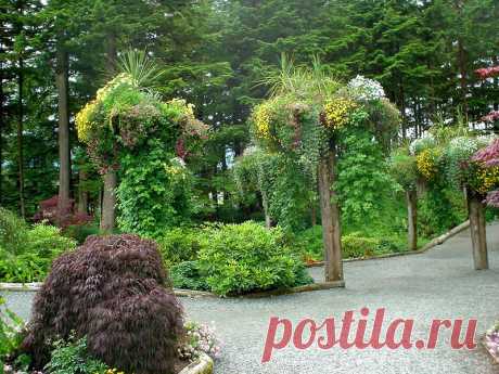 Ботанический сад Glacier Gardens, Juneau, Alaska