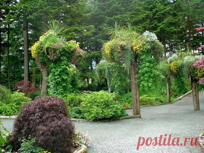 Ботанический сад Glacier Gardens, Juneau, Alaska