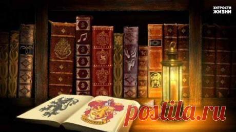 Елена Казакевич