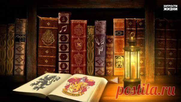 Елена Казакевич