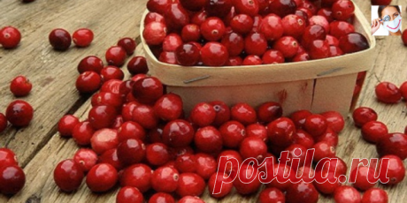 Лечимся с помощью клюквы
Ягоды клюквы великолепно сохраняются в холоде благодаря бензойной, хинной, аскорбиновой кислотам и множеству микроэлементов. Эти же вещества помогают при простуде и гриппе, гастрите и камнях в почках. Помимо прочего, клюква стимулирует умственную и физическую работоспособность. Единственное противопоказание – язвенная болезнь желудка и двенадцатиперстной кишки, но у детей эти заболевания встречаются сравнительно редко. 

Клюкву едят в свежем виде, ...