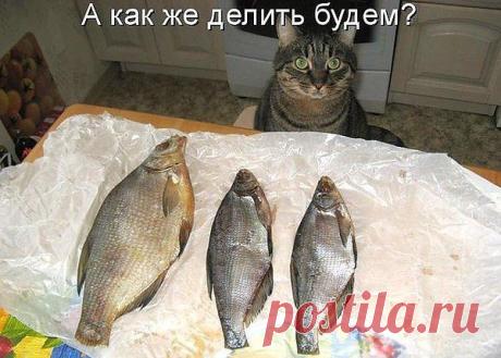 Интересные новости