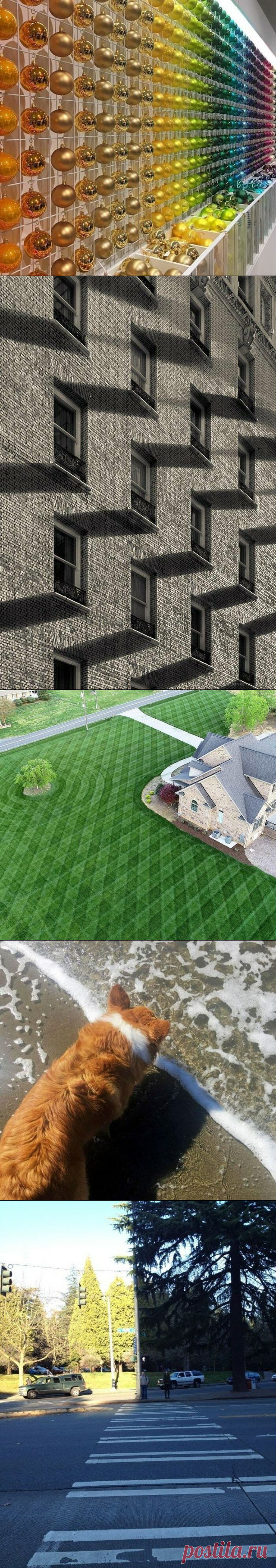 20 идеальных кадров, в реальность которых даже сложно поверить