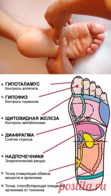 Массаж активных точек на стопах | Делимся советами
